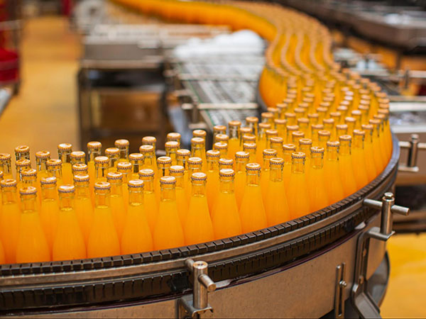 woman leaning against a tree trunk