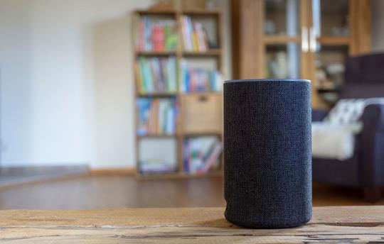 Alexa smart speaker