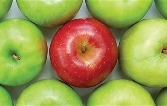 rows of green apples with one red apple in the center
